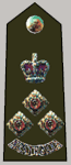 Brigadier BRIG
