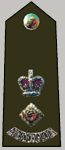 Lieutenant Colonel LT/COL