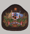 Warrant Officer (1) WO1